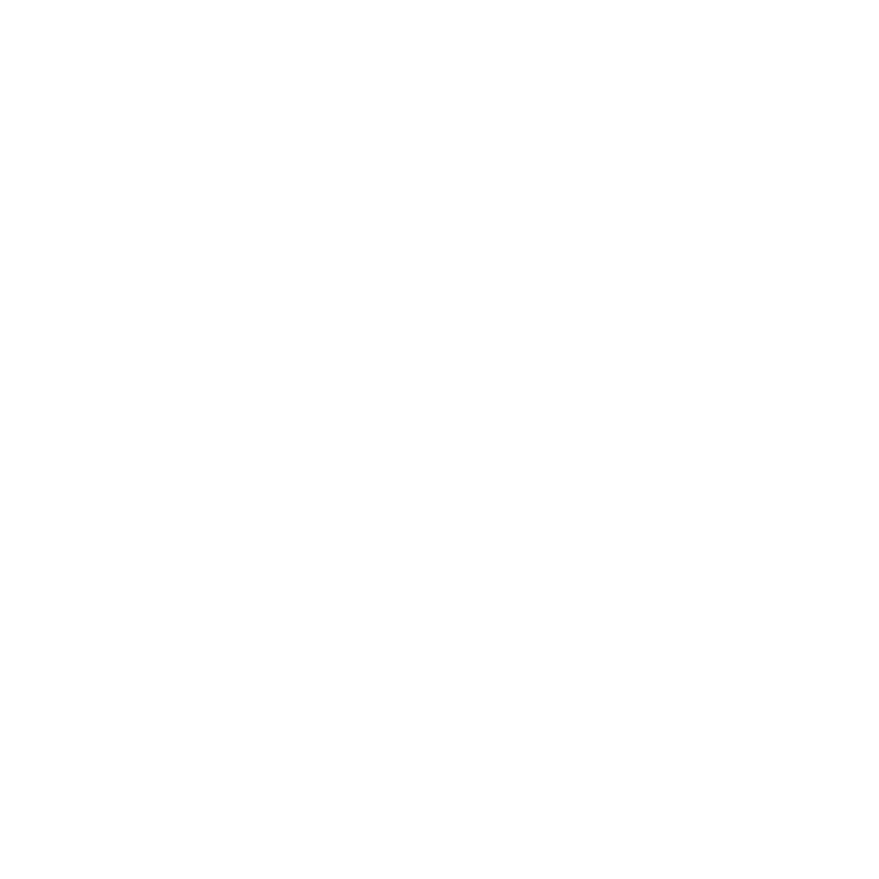 BENDIX